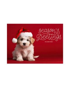 Season's Greetings Holiday Card